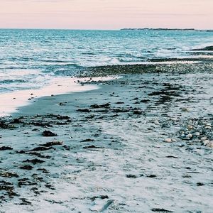 Meet your Posher, Alison